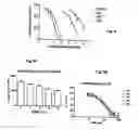 Fig. 06 - Assays for detection of bioactive compounds that interact with heat shock protein 90
