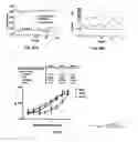 Fig. 07 - Assays for detection of bioactive compounds that interact with heat shock protein 90