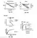 Fig. 08 - Assays for detection of bioactive compounds that interact with heat shock protein 90
