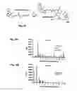 Fig. 09 - Assays for detection of bioactive compounds that interact with heat shock protein 90