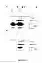 Fig. 12 - Goodpasture antigen binding protein