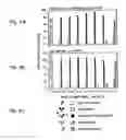 Fig. 05 - Method for making multispecific antibodies having heteromultimeric and common components