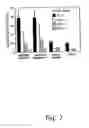 Fig. 09 - Method for making multispecific antibodies having heteromultimeric and common components