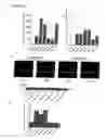 Fig. 03 - Method for detecting leptin receptor ligands