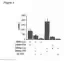 Fig. 04 - Method for detecting leptin receptor ligands