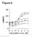 Fig. 07 - Method for detecting leptin receptor ligands