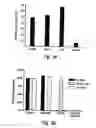 Fig. 06 - Nucleic acids encoding modified human immunodeficiency virus type 1 (HIV-1) group M consensus envelope glycoproteins
