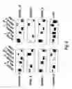 Fig. 07 - Nucleic acids encoding modified human immunodeficiency virus type 1 (HIV-1) group M consensus envelope glycoproteins