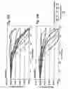 Fig. 19 - Nucleic acids encoding modified human immunodeficiency virus type 1 (HIV-1) group M consensus envelope glycoproteins