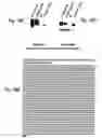Fig. 28 - Nucleic acids encoding modified human immunodeficiency virus type 1 (HIV-1) group M consensus envelope glycoproteins