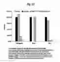 Fig. 37 - Nucleic acids encoding modified human immunodeficiency virus type 1 (HIV-1) group M consensus envelope glycoproteins