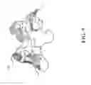 Fig. 10 - Aggrecanase structure