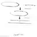 Fig. 40 - Compositions and methods for non-targeted activation of endogenous genes