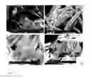 Fig. 10 - METHODS AND APPARATUSES FOR GROWING CELLS