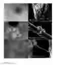 Fig. 15 - METHODS AND APPARATUSES FOR GROWING CELLS