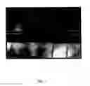 Fig. 04 - Tissue control rods for sheet-based tissue engineering
