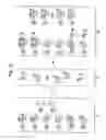 Fig. 03 - Multi-analyte diagnostic test for thyroid disorders
