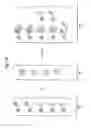 Fig. 04 - Multi-analyte diagnostic test for thyroid disorders