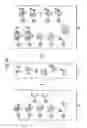 Fig. 05 - Multi-analyte diagnostic test for thyroid disorders