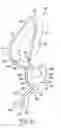 Fig. 33 - Electrical contact