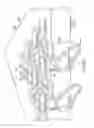 Fig. 47 - Electrical contact
