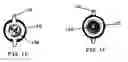 Fig. 03 - Electrical wire connector device with visual connection validation