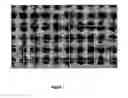 Fig. 02 - Polishing of optical and non-optical tools for improved mold flow