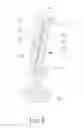 Fig. 07 - GRINDER FOR WINDSHIELD WIPERS