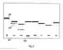Fig. 07 - Timing offset tolerant karaoke game