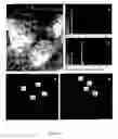 Fig. 06 - AlOdispersion-strengthened TiAlN composites and a method for producing the same