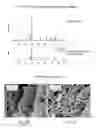 Fig. 02 - Methods of making carbide and oxycarbide containing catalysts