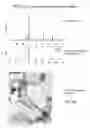 Fig. 03 - Methods of making carbide and oxycarbide containing catalysts