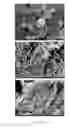 Fig. 09 - Methods of making carbide and oxycarbide containing catalysts