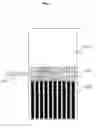 Fig. 08 - Fabrication of sealed high temperature superconductor wires