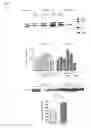 Fig. 03 - MODULATION OF RHAMM-CAVEOLIN/LIPID RAFT INTERACTIONS TO AFFECT DEVELOPMENT, RESPONSES TO TISSUE INJURY, ANGIOGENESIS, TUMORIGENESIS, METASTASIS AND GROWTH FACTOR/CYTOKINE RESPONSES