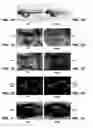 Fig. 02 - FOGGY