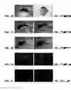 Fig. 11 - FOGGY
