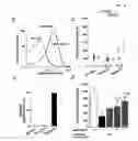 Fig. 25 - G protein coupled receptor agonists and antagonists and methods of activating and inhibiting G protein coupled receptors using the same