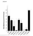 Fig. 28 - G protein coupled receptor agonists and antagonists and methods of activating and inhibiting G protein coupled receptors using the same