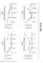Fig. 31 - Hedgehog Kinases and Their Use in Modulating Hedgehog Signaling