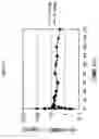 Fig. 20 - Modulation of MDL-1 activity for treatment of inflammatory disease