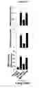 Fig. 43 - Modulation of MDL-1 activity for treatment of inflammatory disease