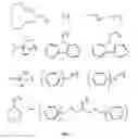Fig. 03 - Protected monomers