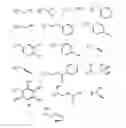 Fig. 04 - Protected monomers