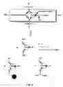 Fig. 05 - Protected monomers