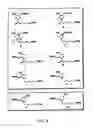 Fig. 06 - Protected monomers
