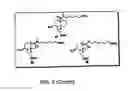 Fig. 09 - Protected monomers
