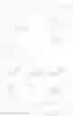 Fig. 138 - Protected monomers