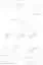 Fig. 152 - Protected monomers