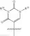 Fig. 17 - Protected monomers